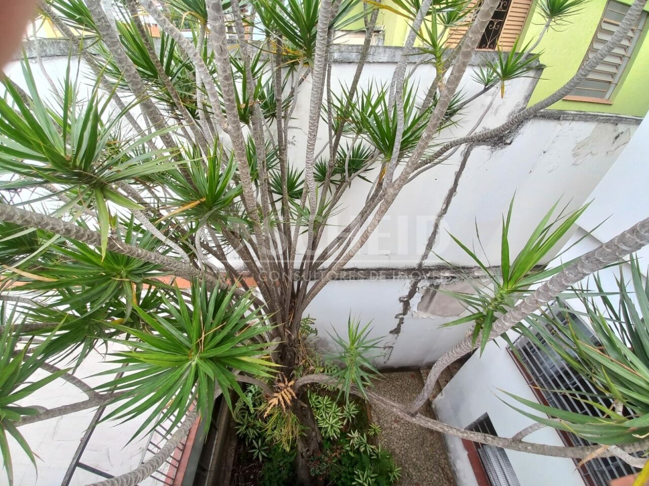 Foto 26