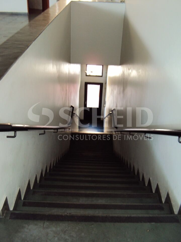Foto 21