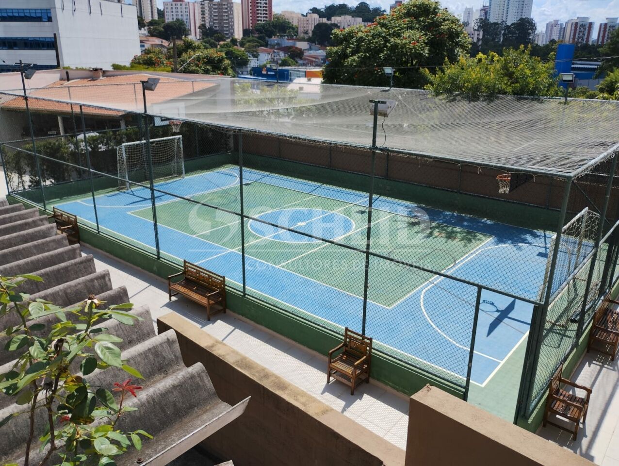 Foto 7