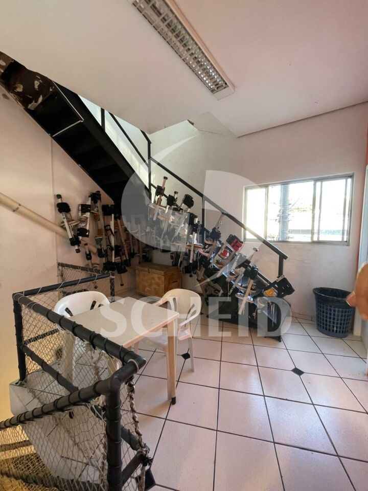 Foto 19