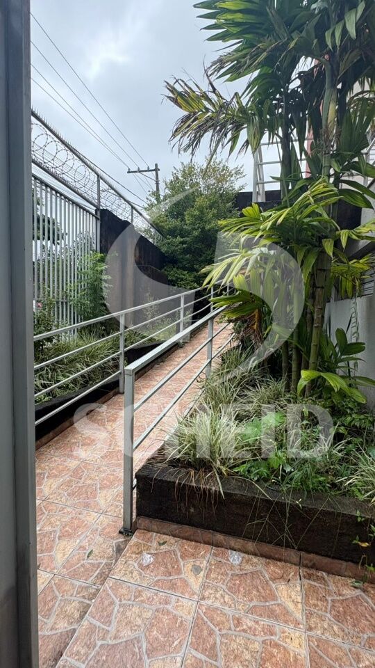 Foto 31