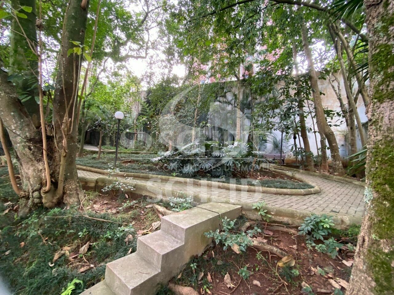 Foto 23