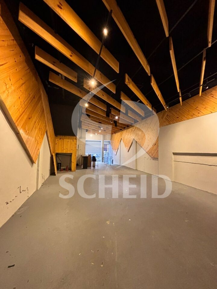 Foto 21