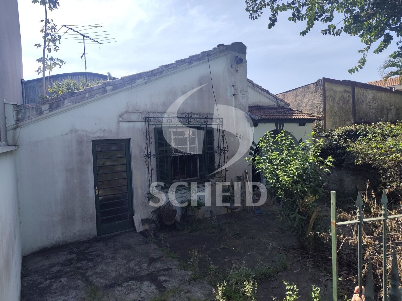 Foto 10