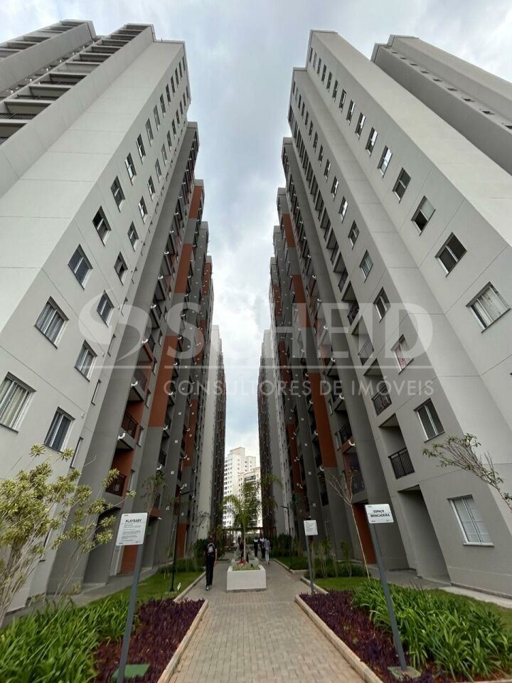 Foto 41
