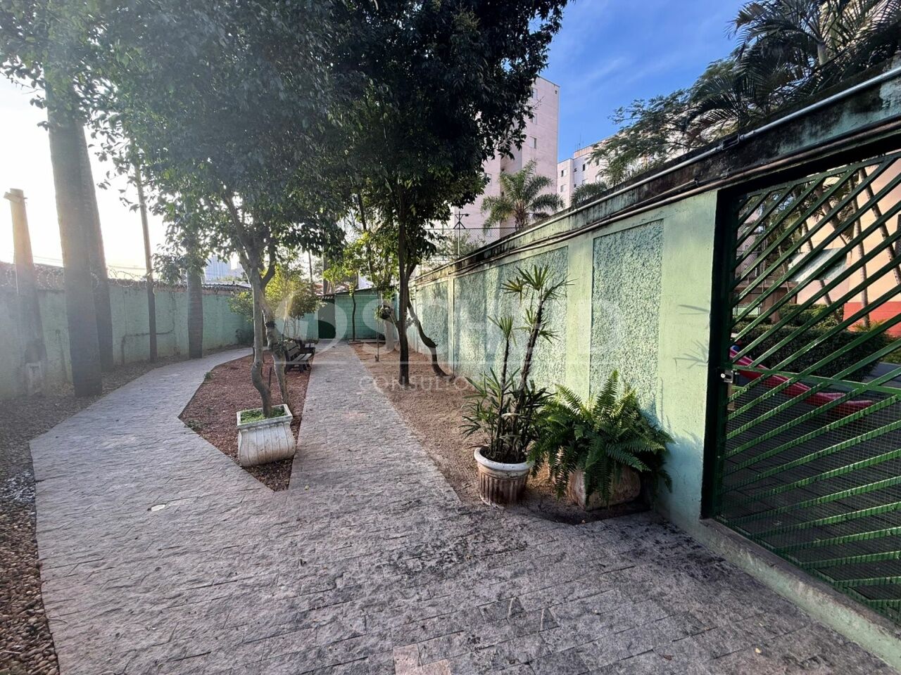 Foto 21