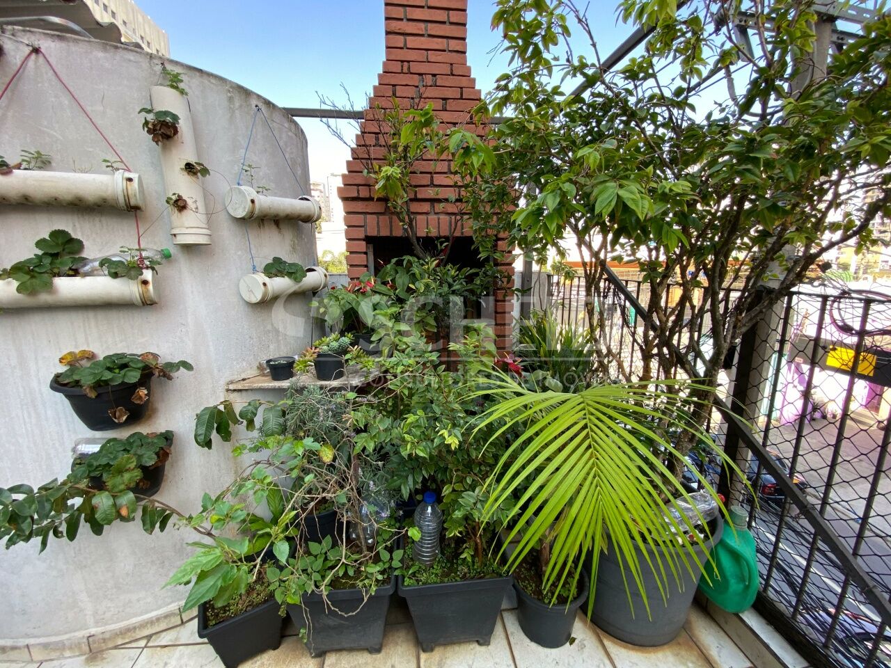Foto 24