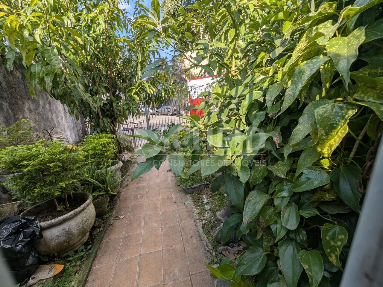 Foto 11