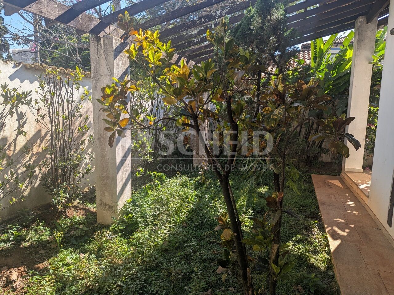 Foto 41