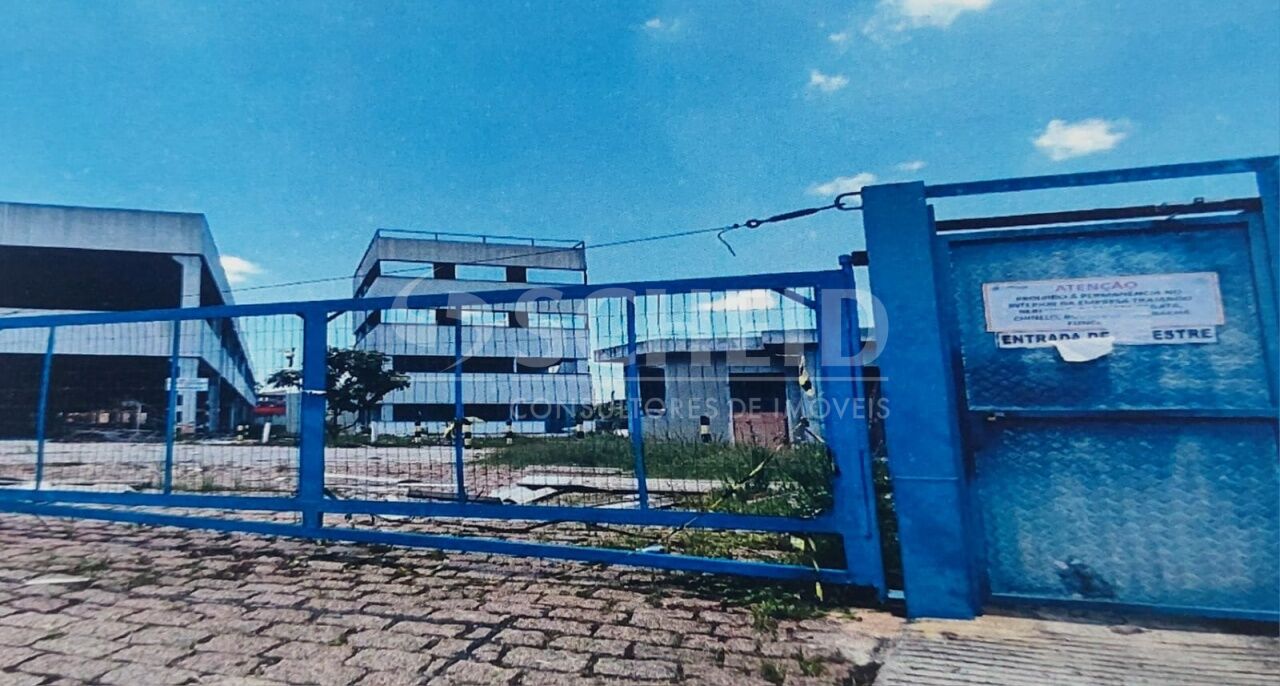 Foto 8