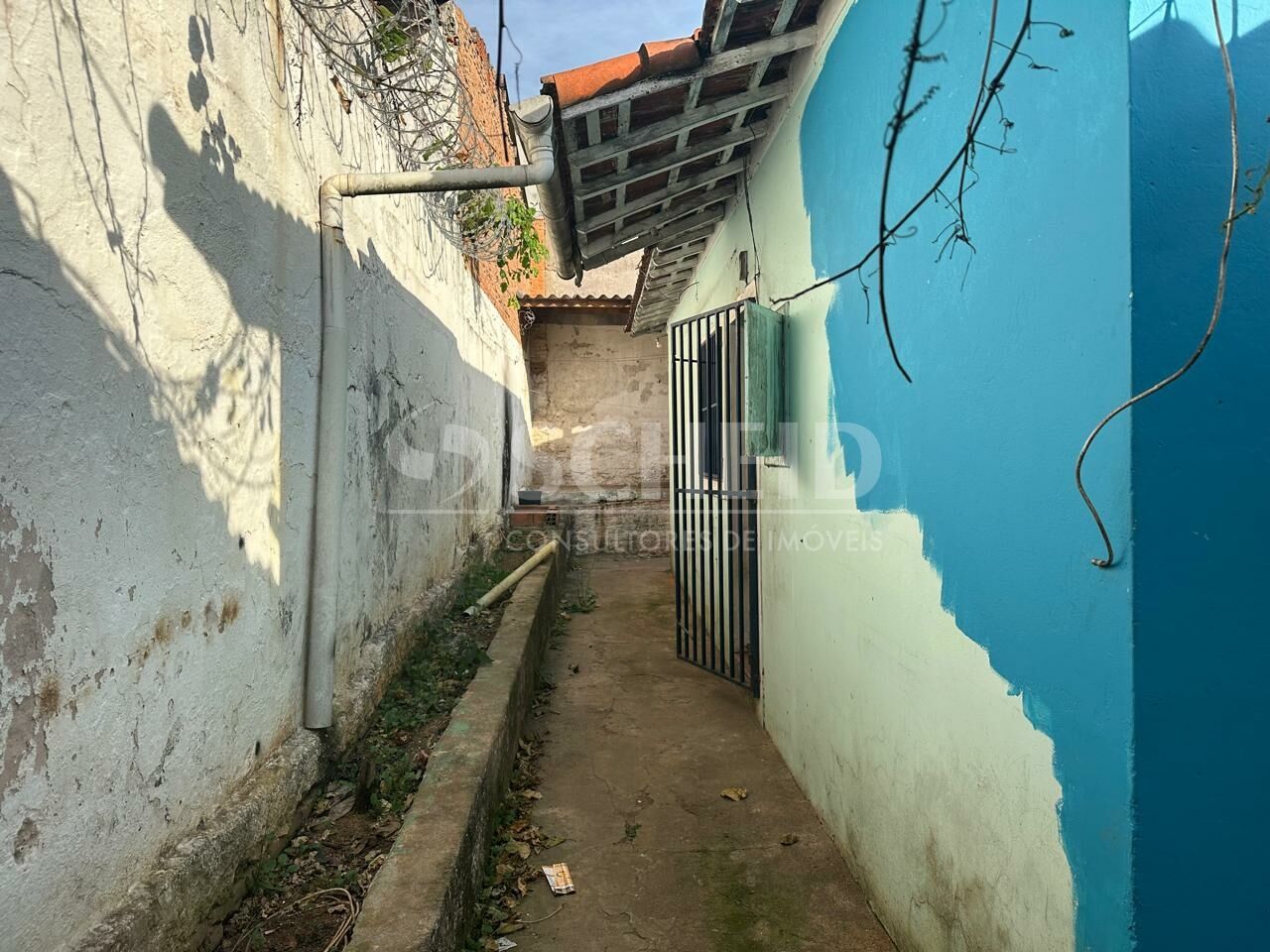 Foto 19
