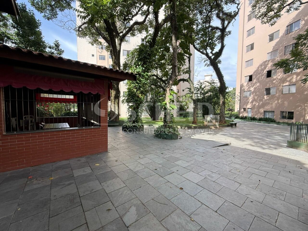 Foto 21