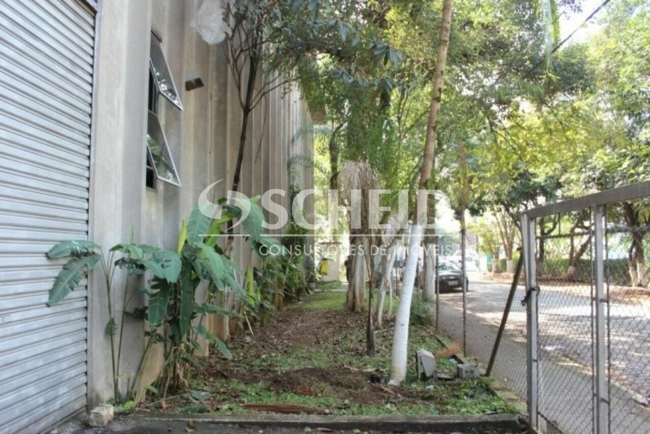 Foto 19