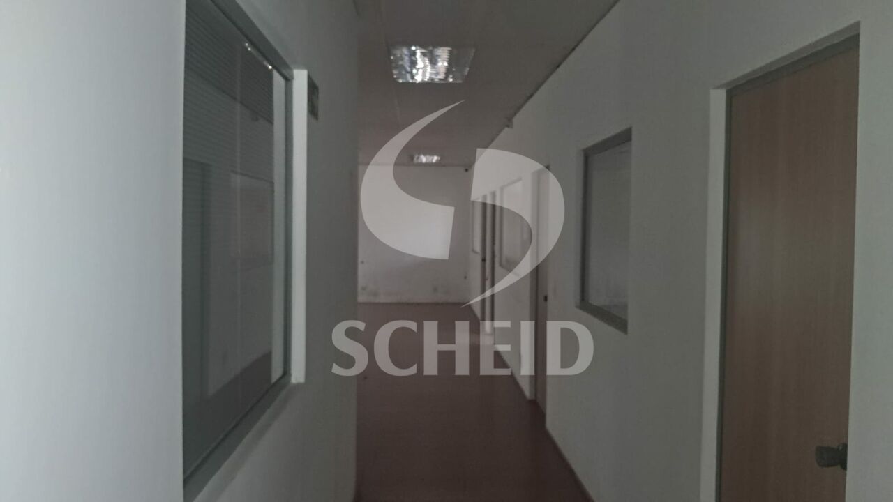 Foto 31