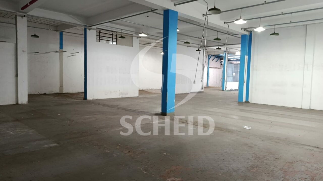 Foto 13