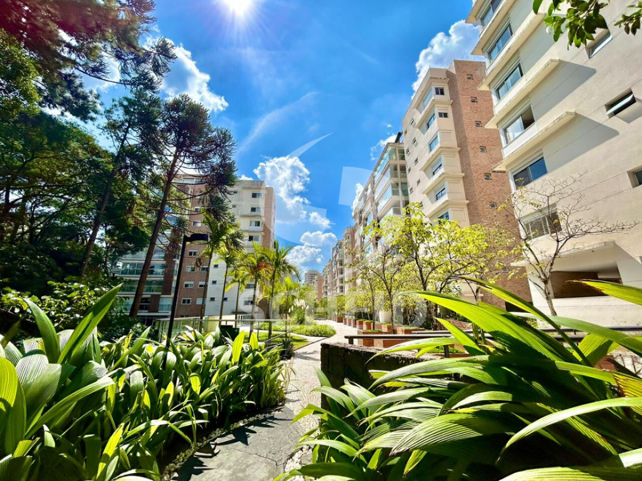 Foto 48