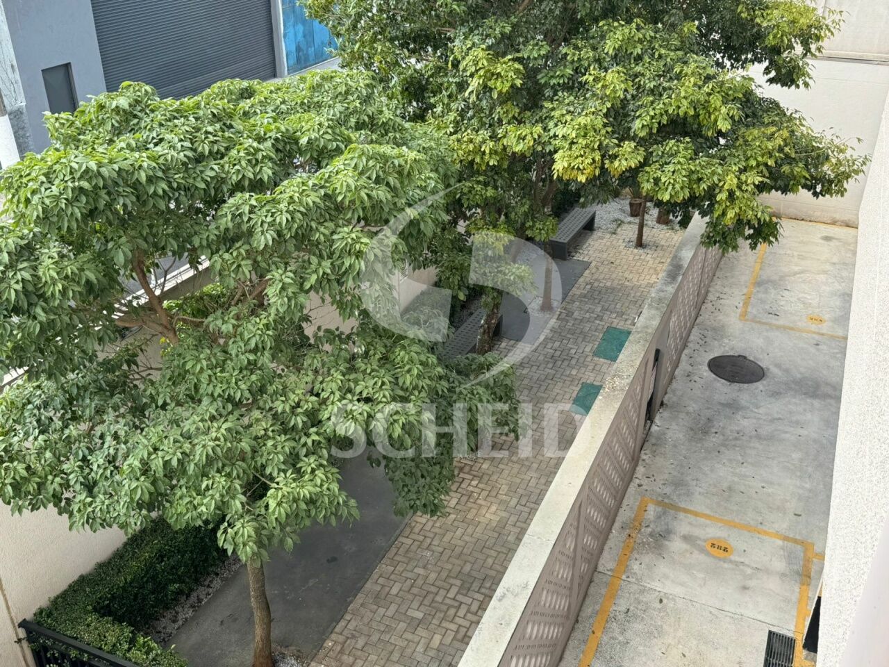 Foto 20