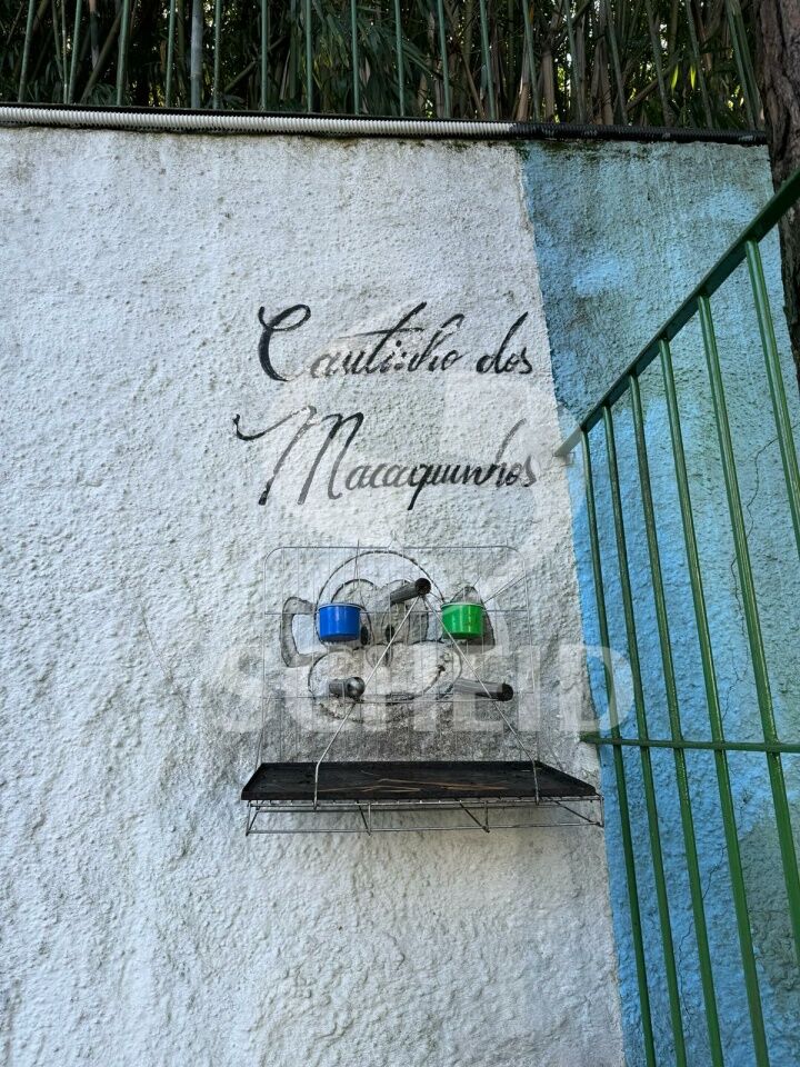 Foto 41
