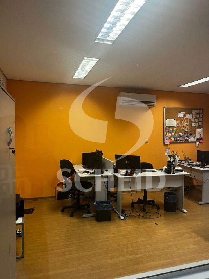 Foto 7