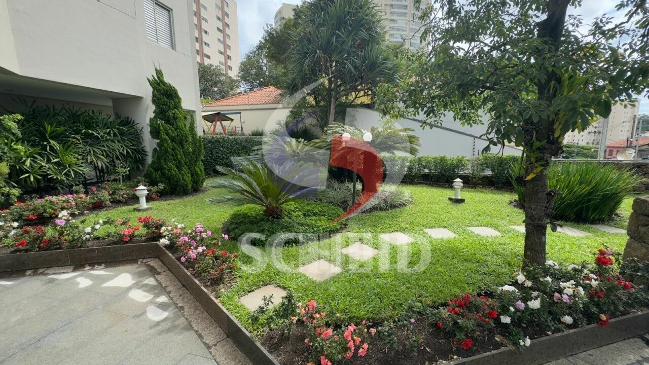 Foto 33