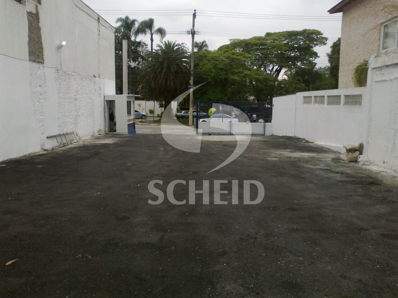Foto 7