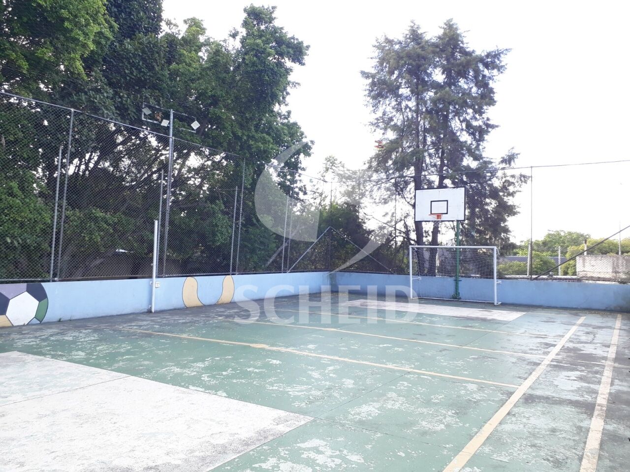 Foto 13