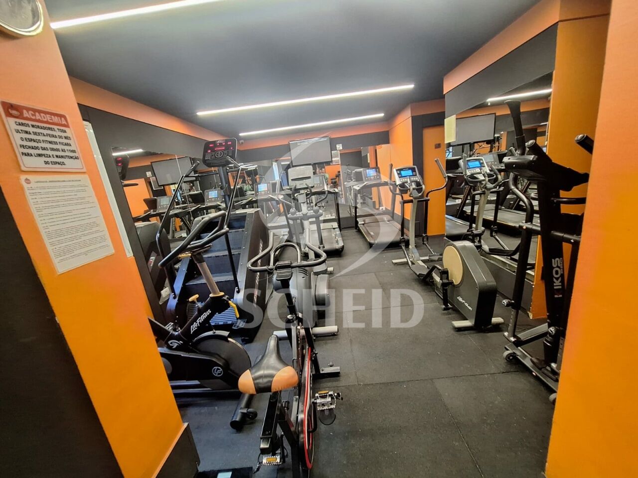Foto 42