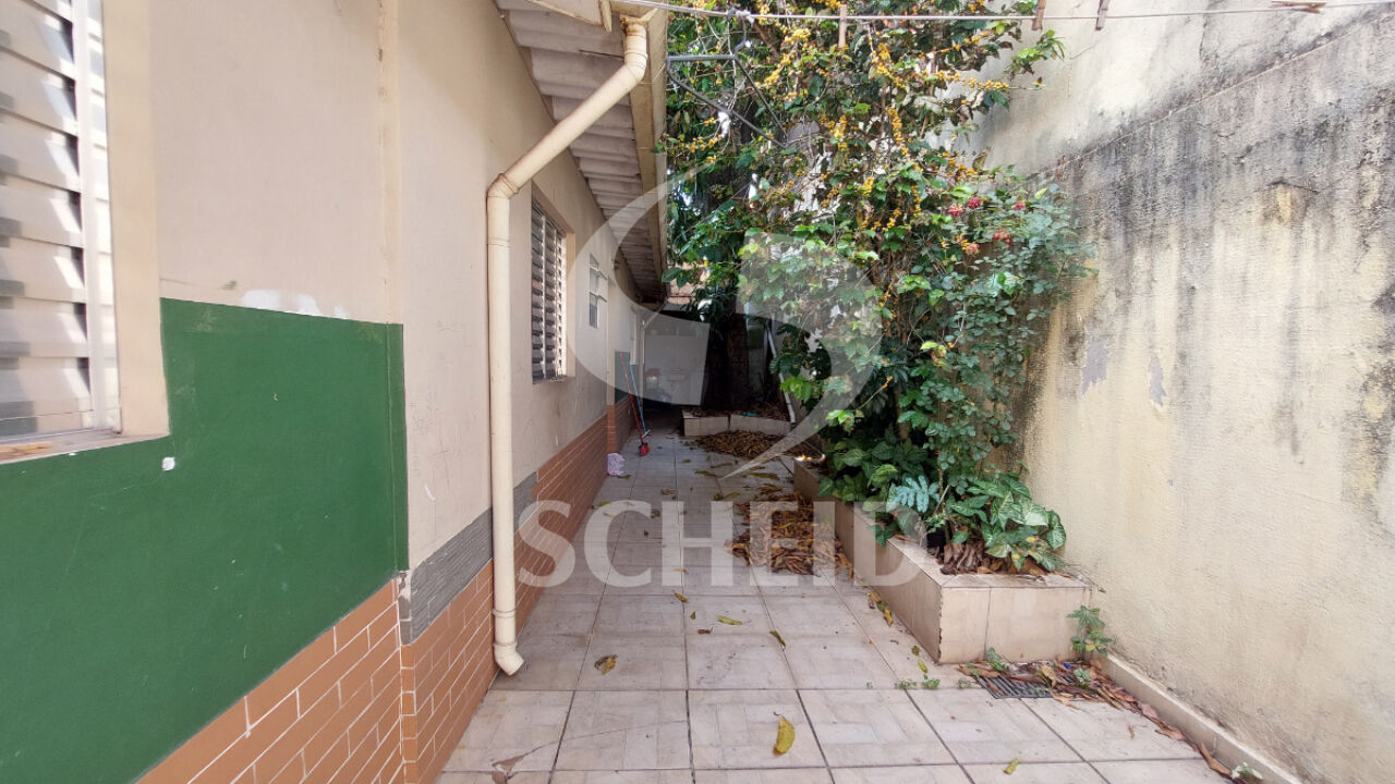Foto 41