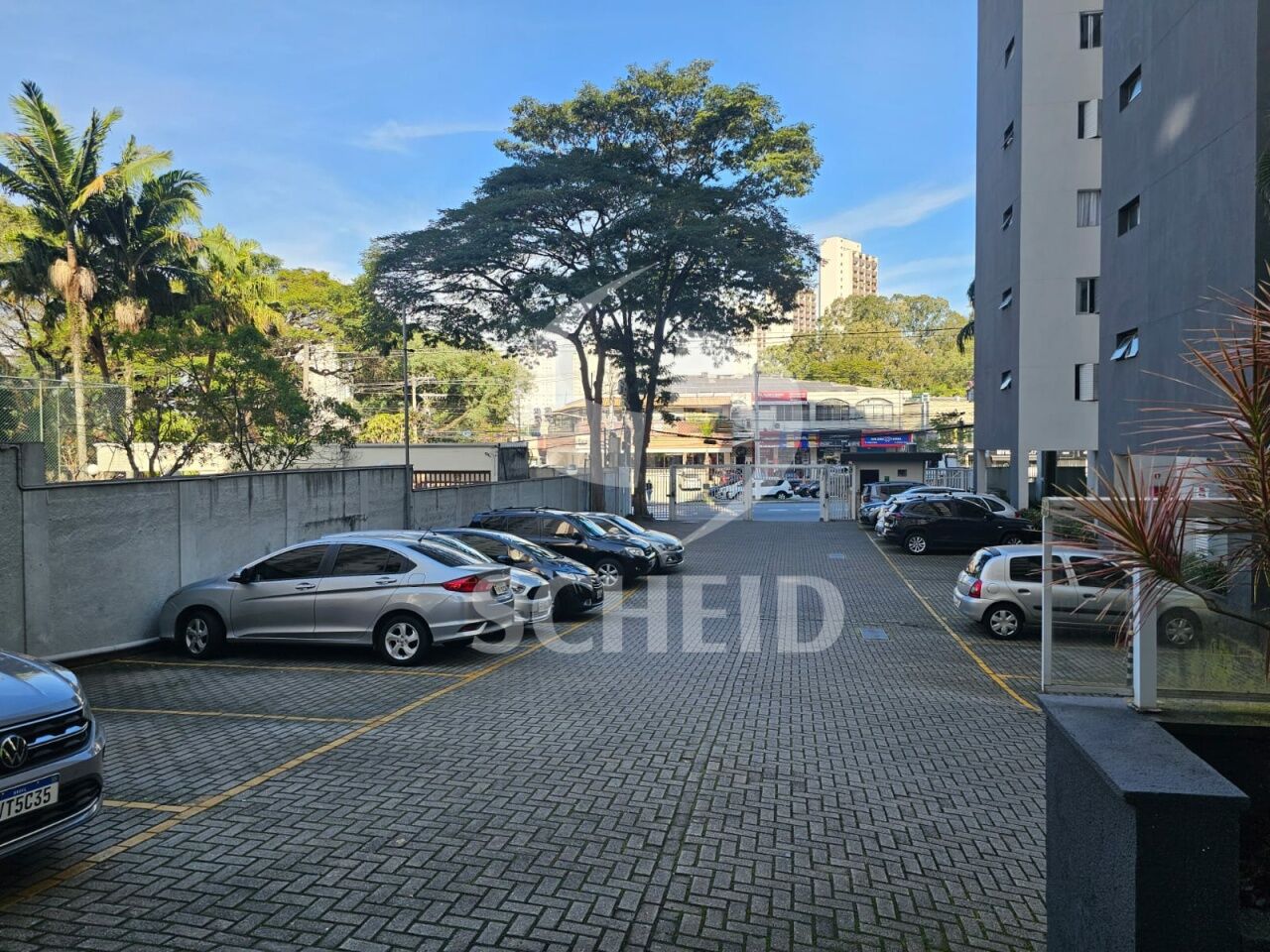 Foto 19