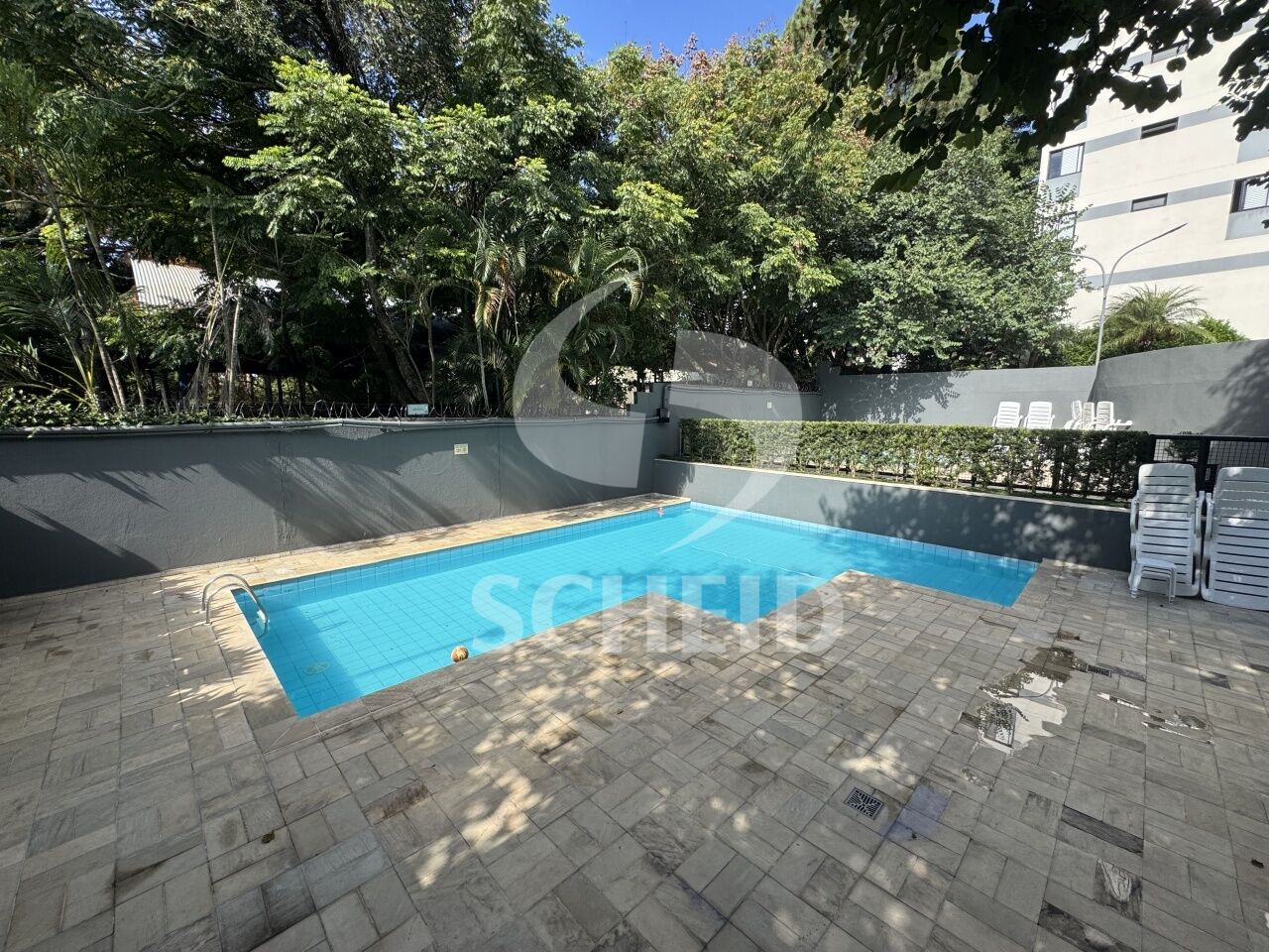 Foto 19