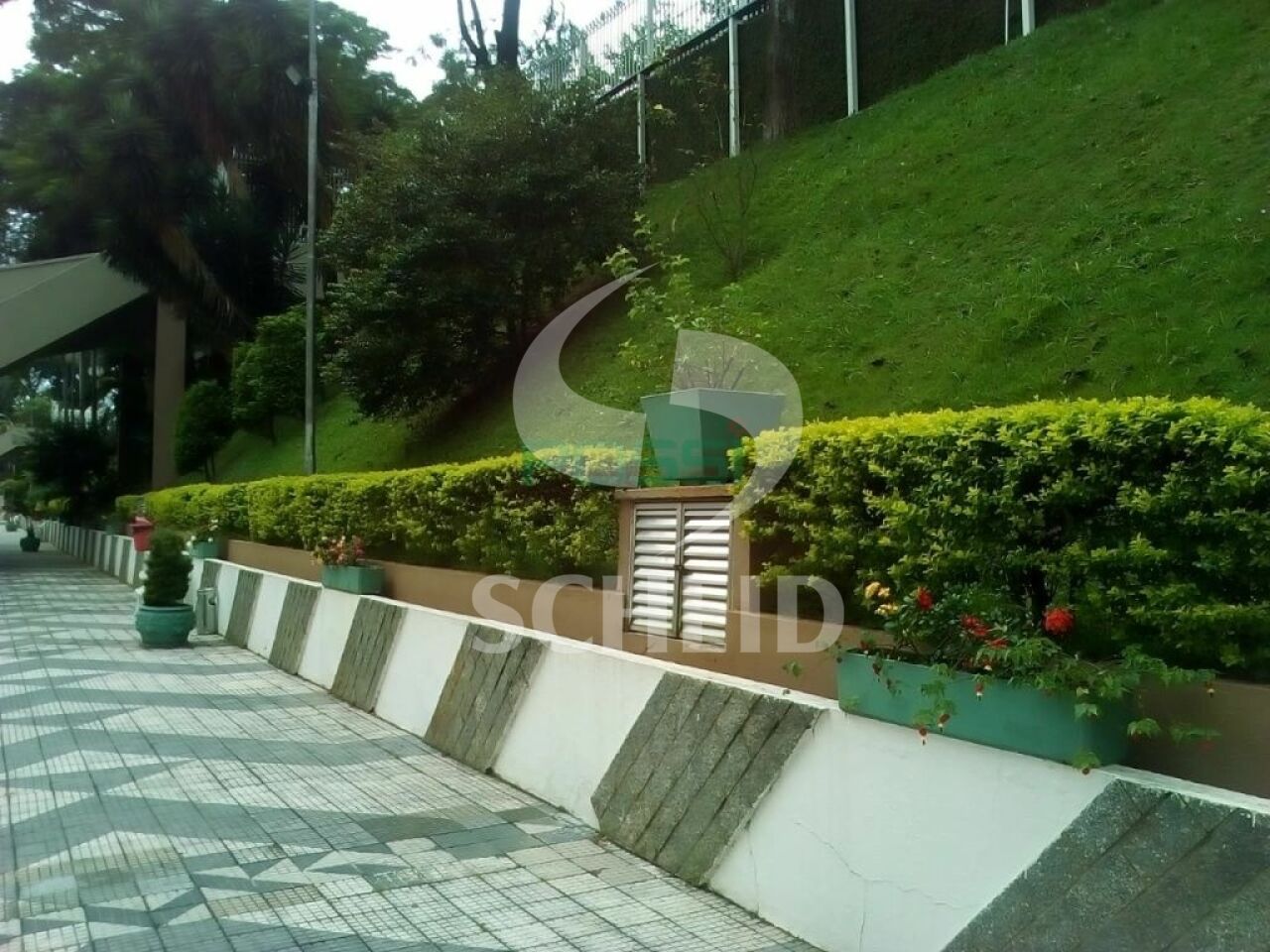 Foto 23
