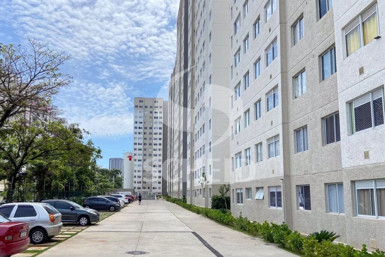 Foto 41