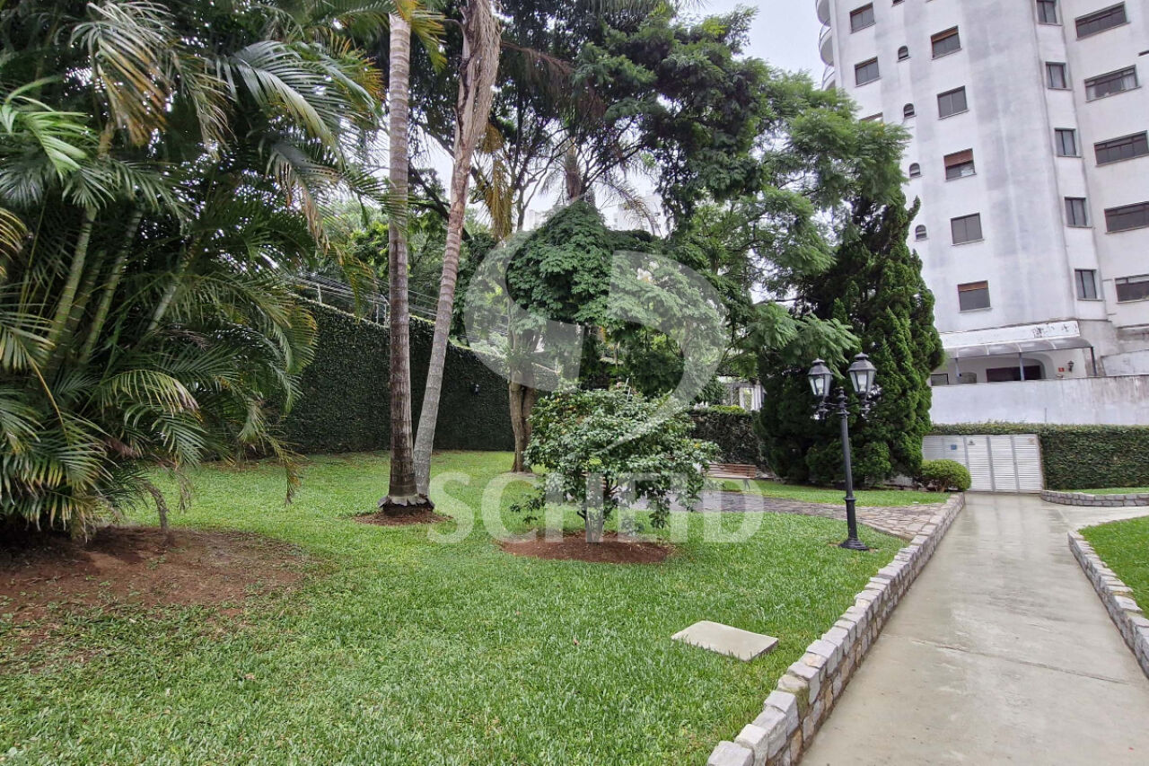Foto 41