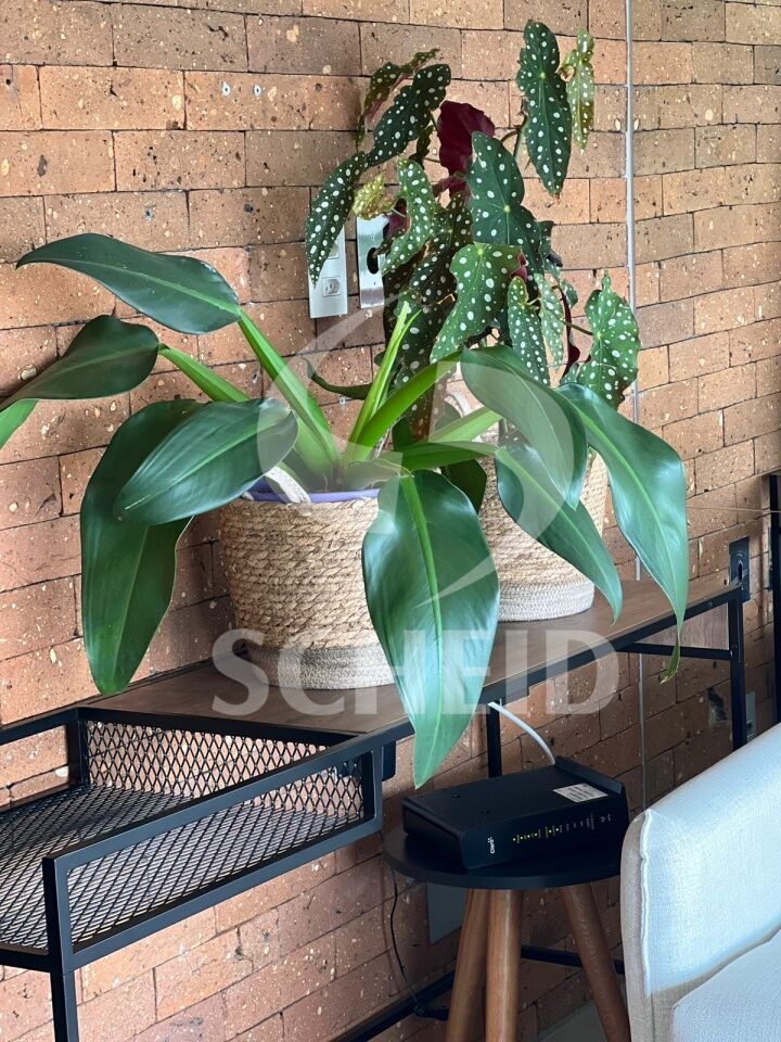 Foto 4