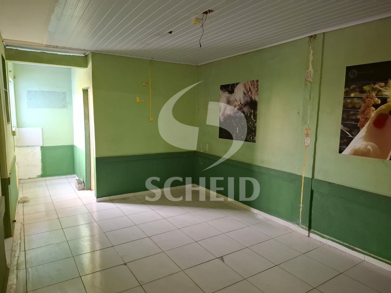 Foto 10