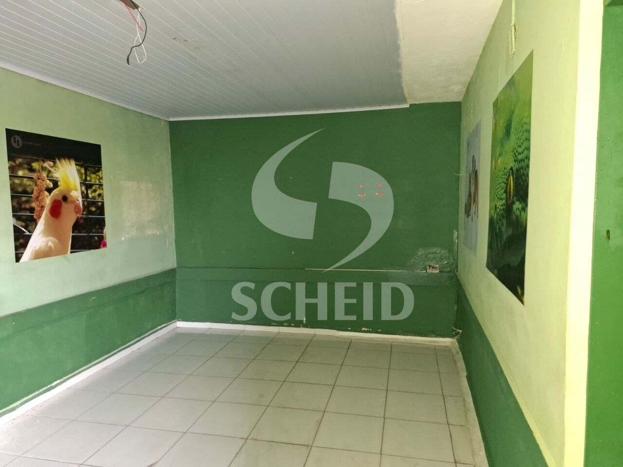 Foto 15