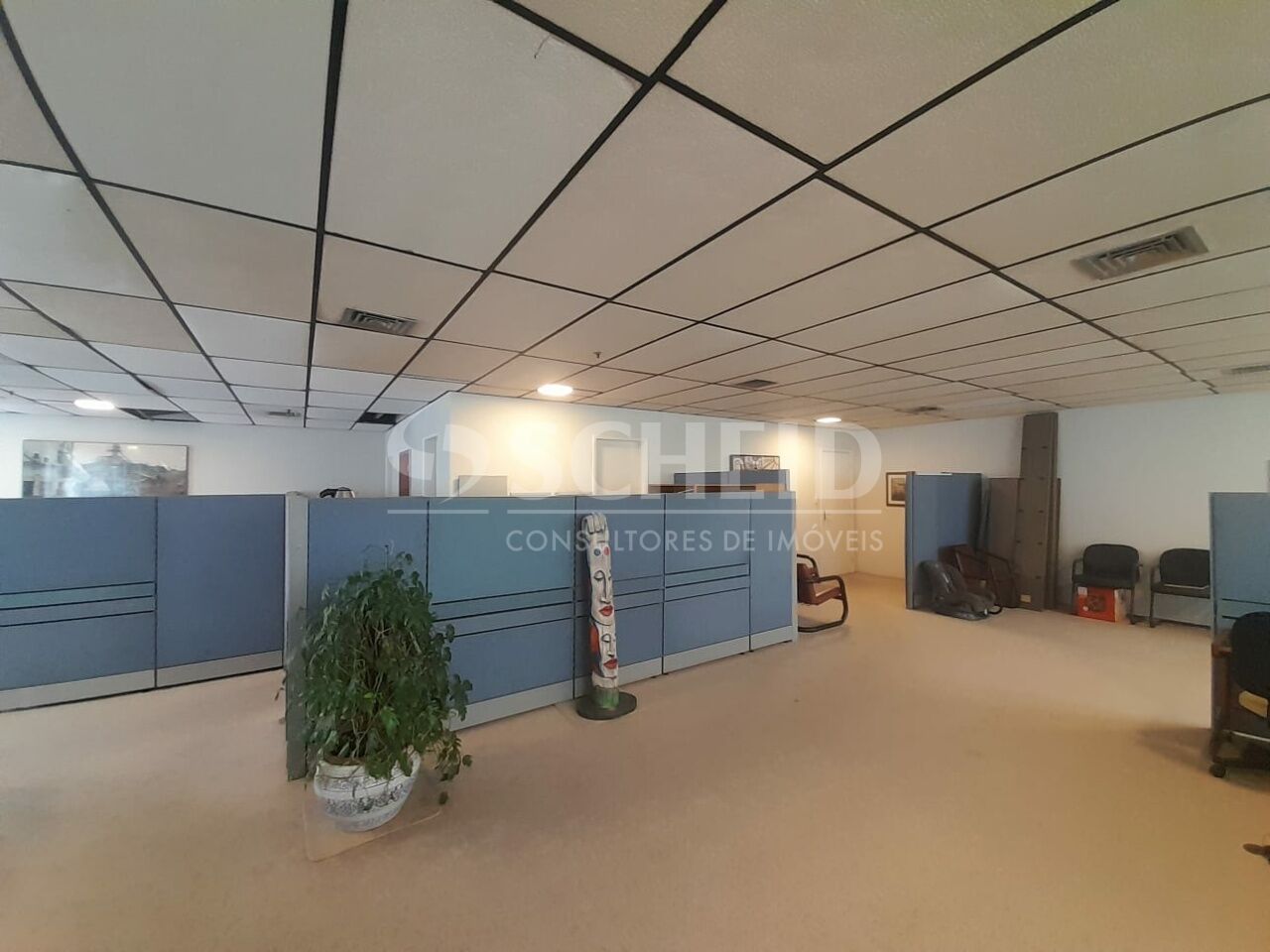 Foto 22