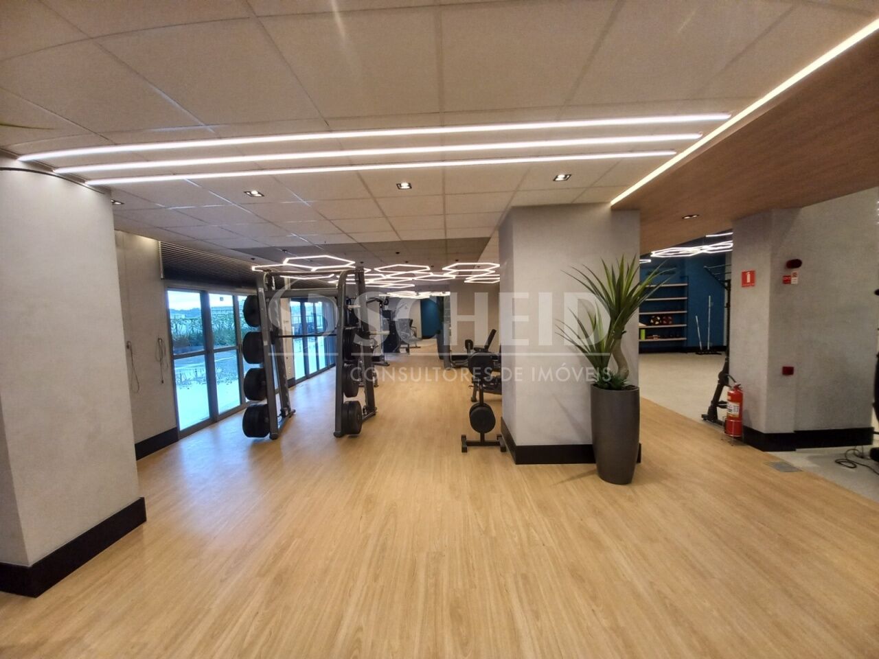 Foto 6
