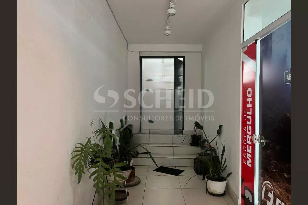 Foto 19