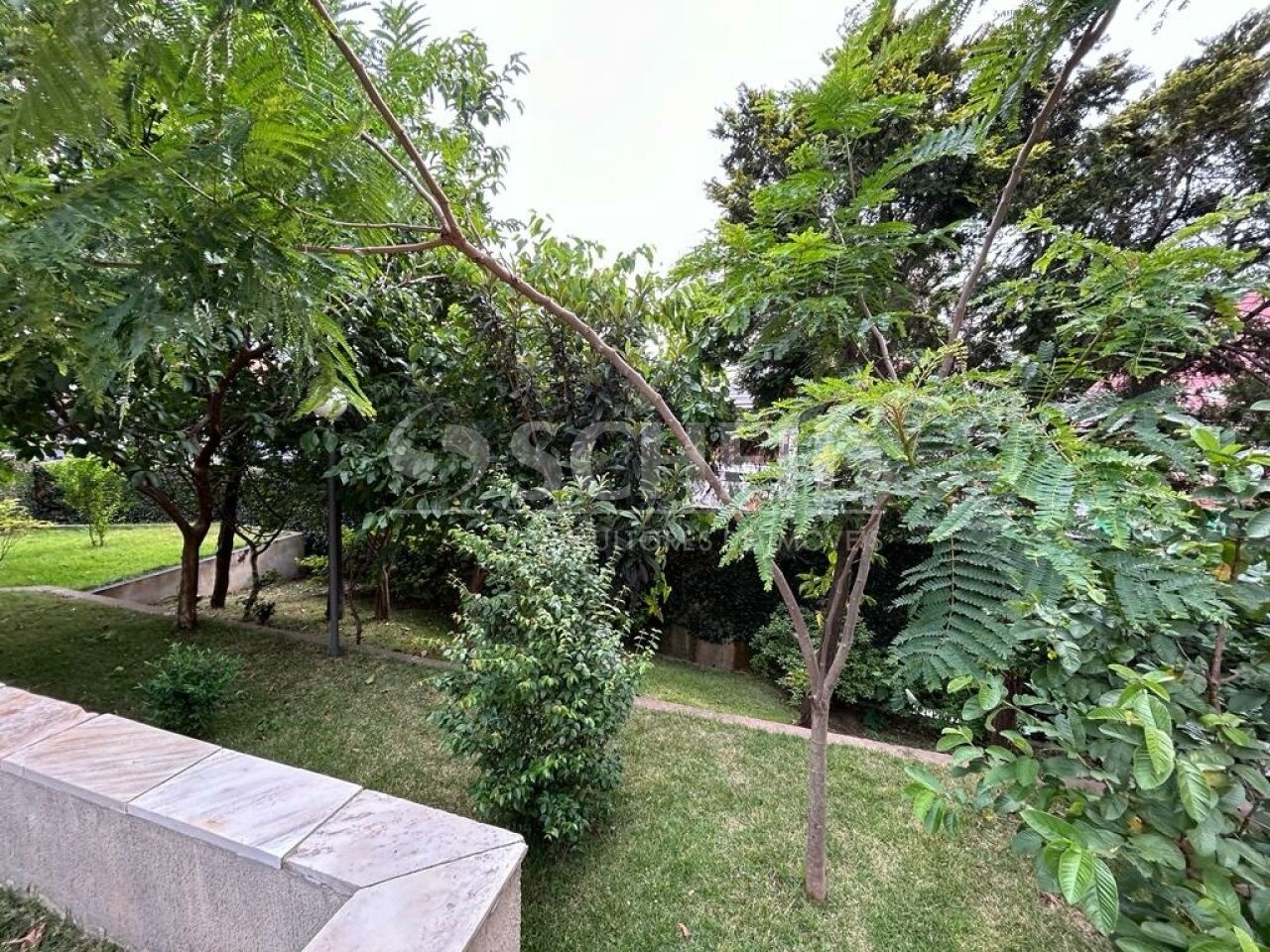 Foto 28