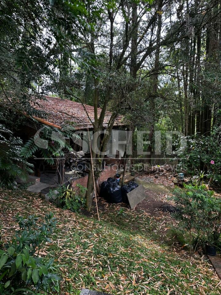 Foto 49