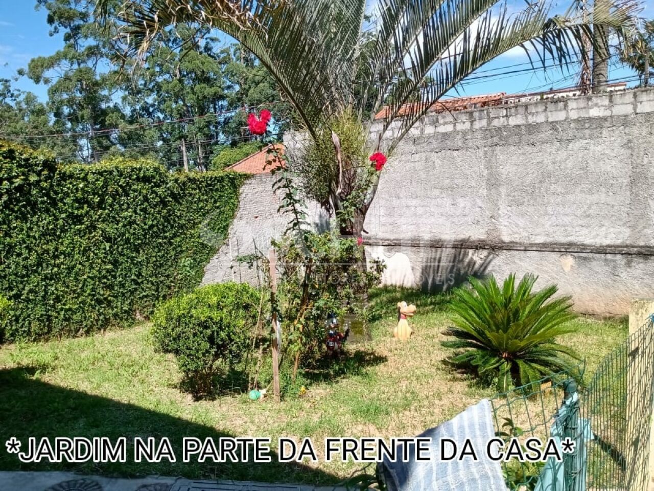 Foto 9