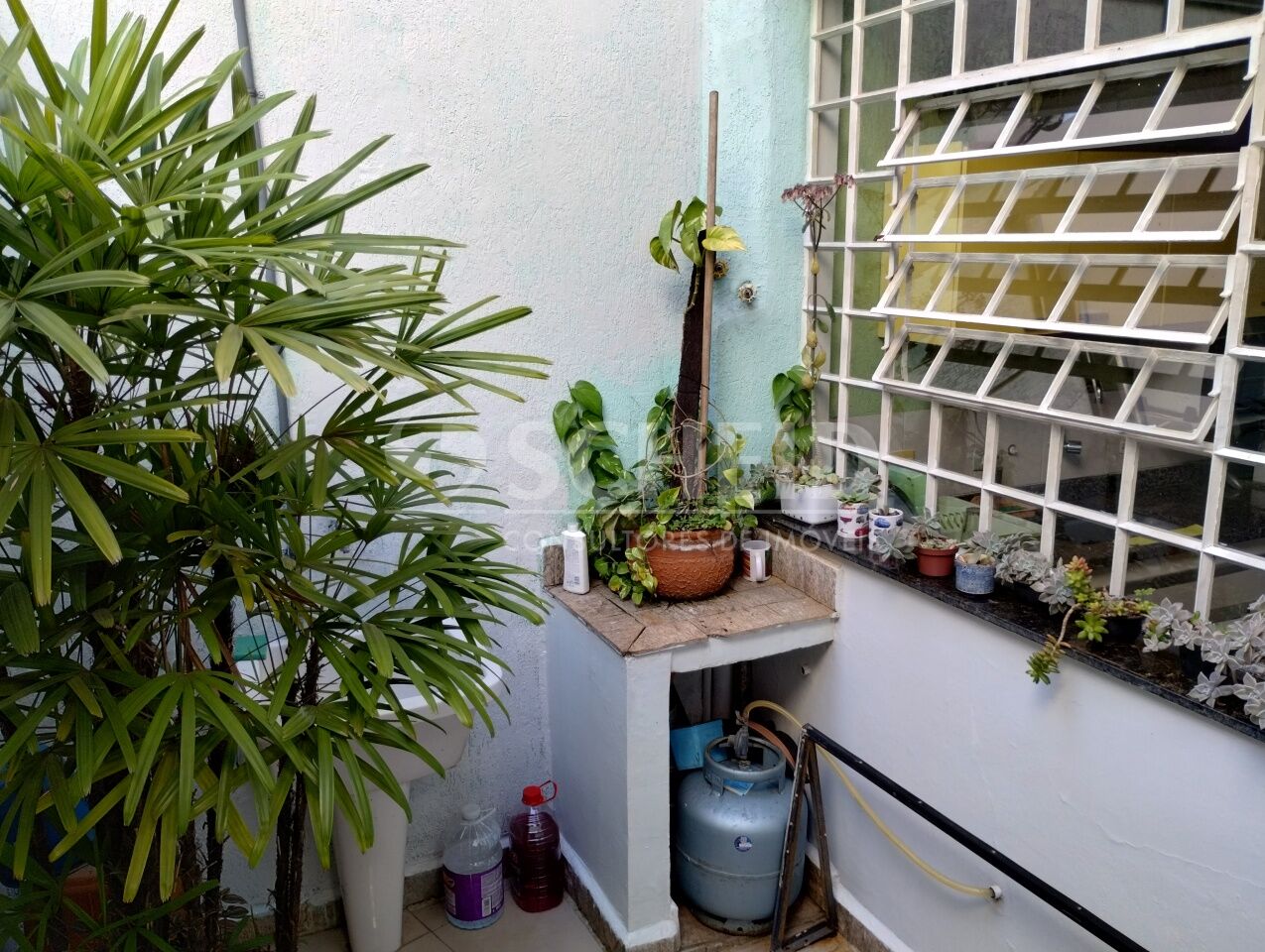 Foto 8