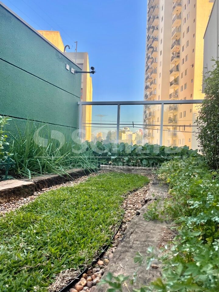 Foto 41