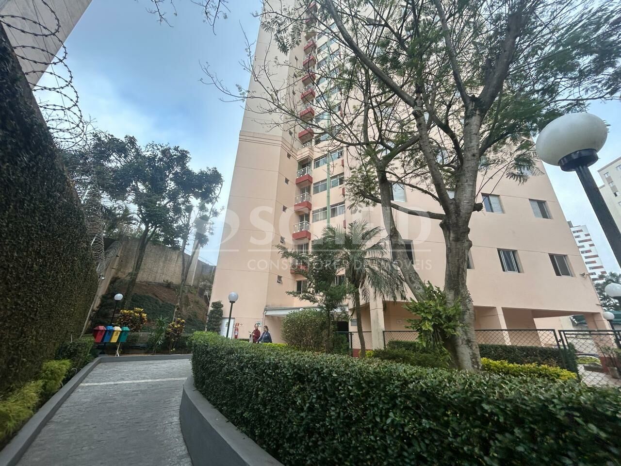 Foto 19