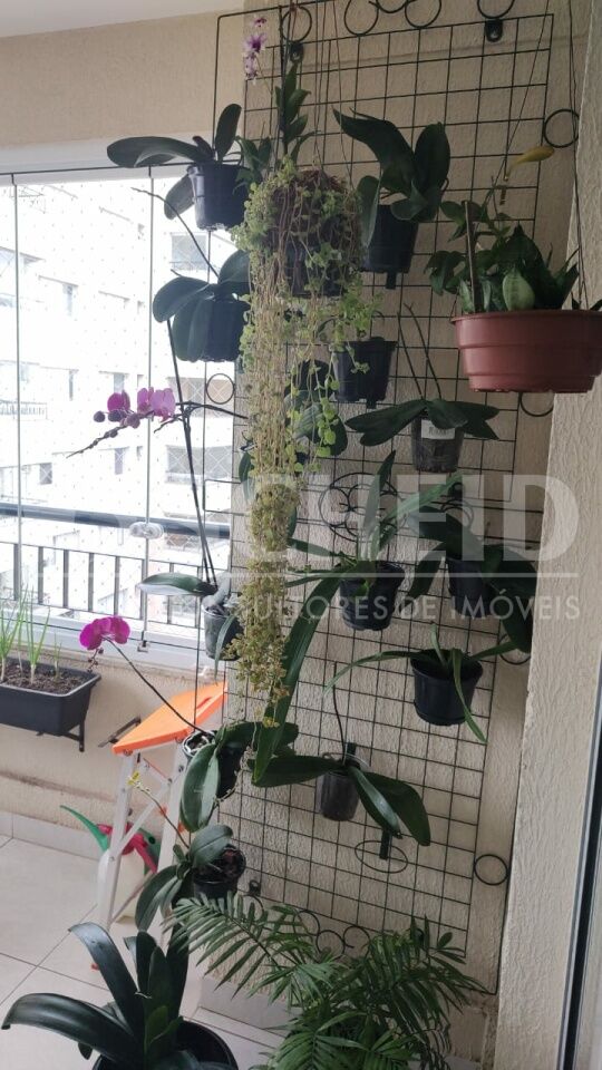 Foto 7