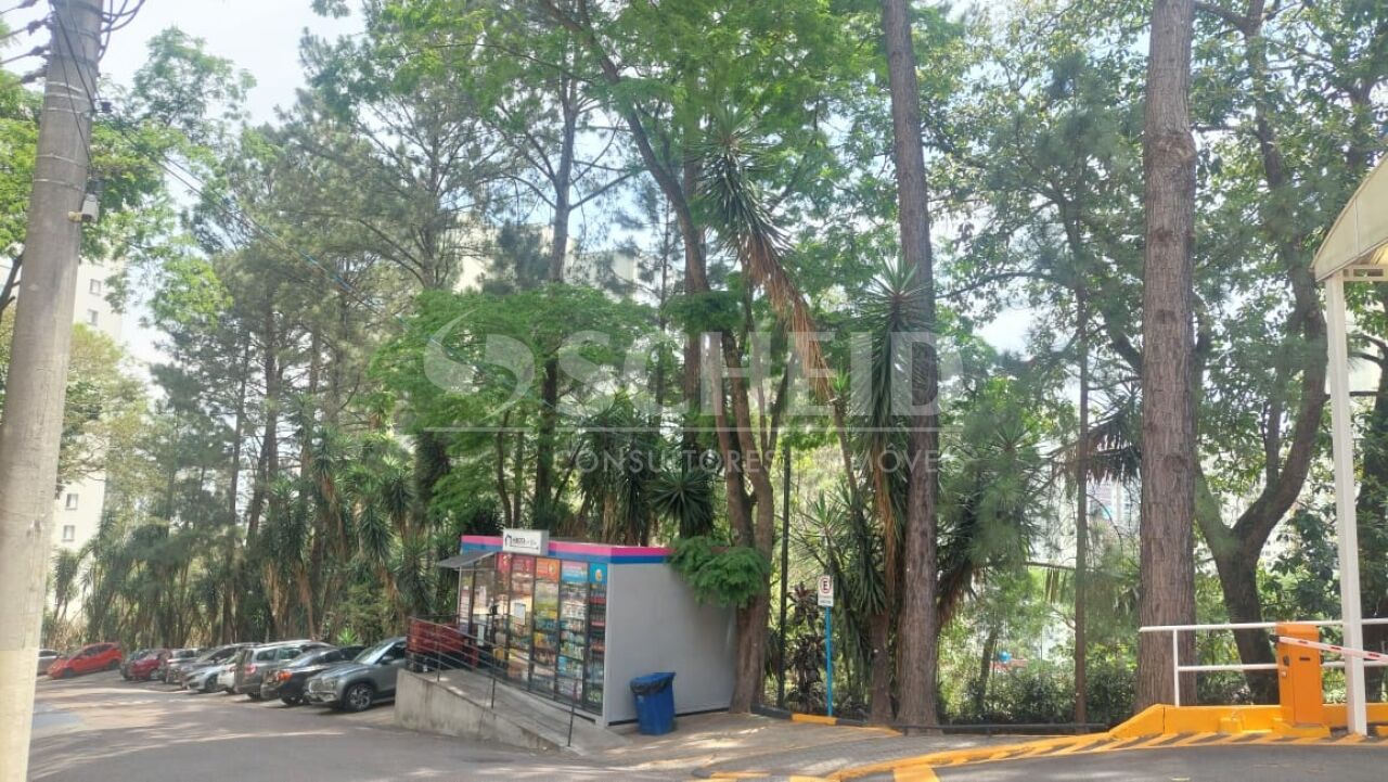 Foto 17