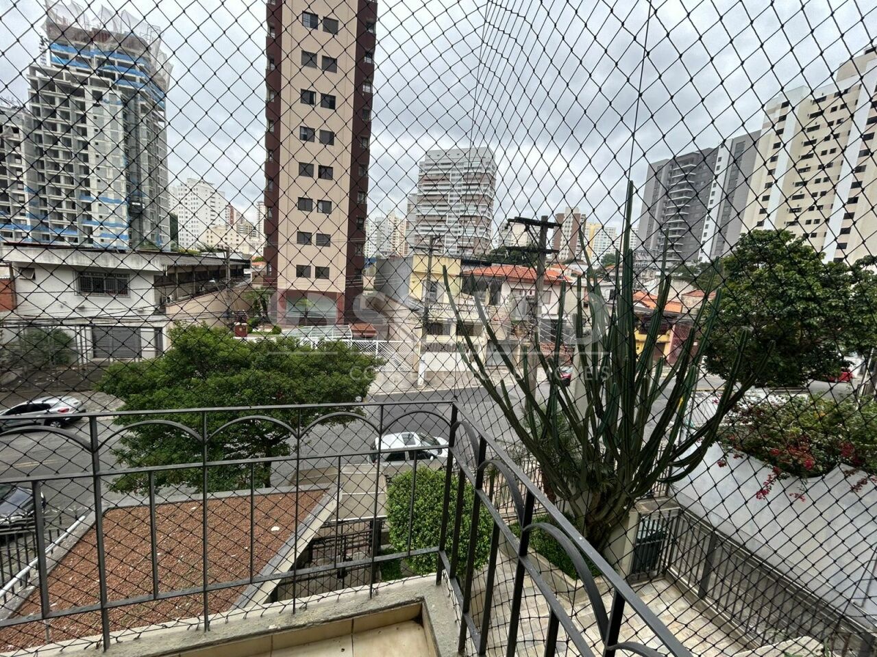 Foto 9