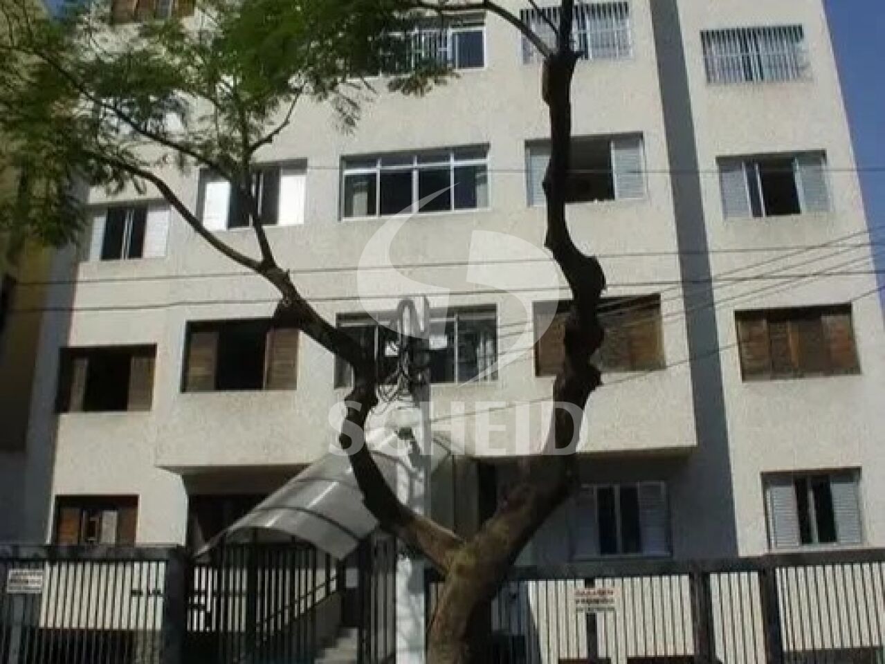 Foto 15