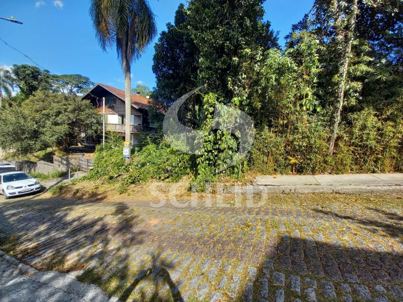 Foto 7